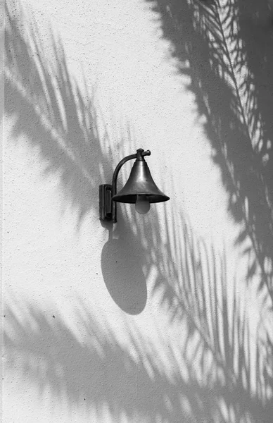 Освітлення Прикріплене Стіни Будинку Проекцією Тіней Пальмового Листя — стокове фото