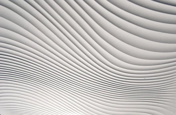 Siyah ve beyaz geometrik desen birçok eğri çizgiler ile