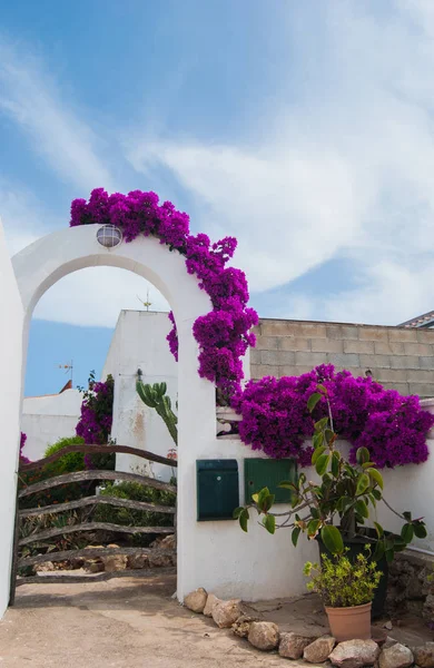 Casa Com Portão Madeira Típico Bougainvillea Roxo Ilha Espanhola — Fotografia de Stock