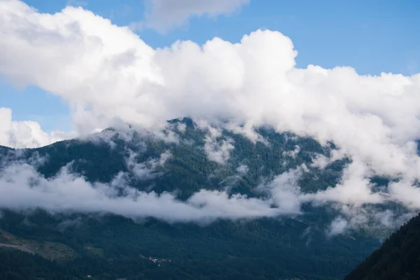 Nuvens Floresta Das Montanhas Após Chuva Dia Úmido — Fotografia de Stock