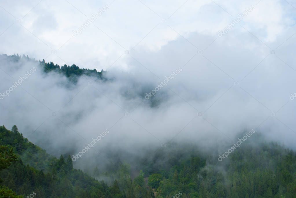 Clouds on the woods of the mountains after rain in a damp day