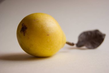 Olgun armut dibinden Close-up