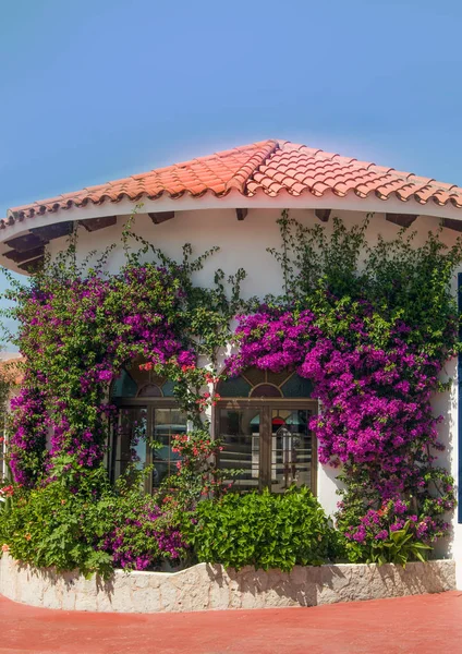 Costruzione Bianca Con Bougainvillea Viola Intorno All Isola Spagnola — Foto Stock