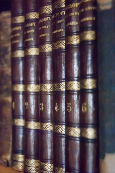 Old volumes brown with golden decorations well ordered in the bookcase