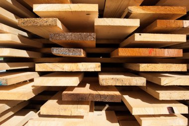 Kurumak için açık havada düzgünce yerleştirilmiş çiğ odun parçaları.