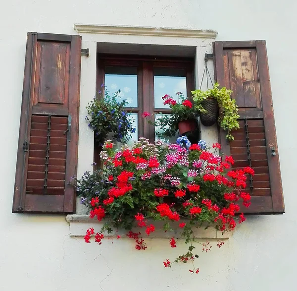 Bir sürü renkli çiçek ile güzelleştirerek ahşap pencere