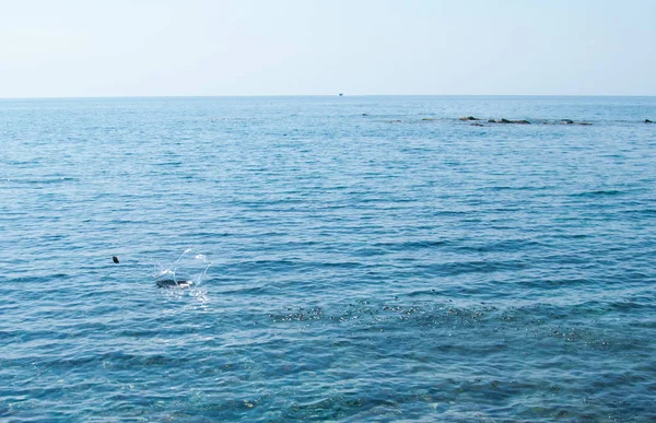 Λεπτή Πέτρινα Αναπηδώντας Στην Επιφάνεια Της Θάλασσας — Φωτογραφία Αρχείου