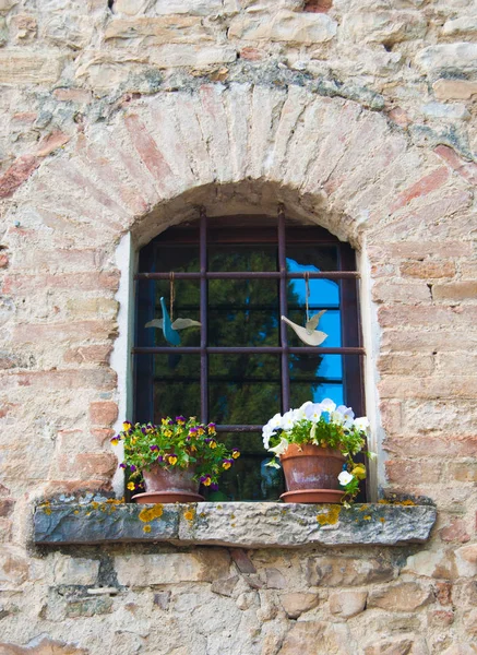 Één Venster Met Reling Bloemen Houten Vogels Als Decoratie — Stockfoto