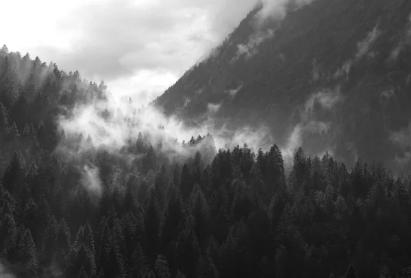 Nuages Sur Les Bois Des Montagnes Après Pluie Dans Jour — Photo