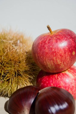 Yakın çekim yan yana meyve renkli bir sonbahar kompozisyon içinde