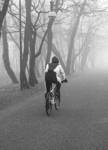Человек Велосипеде Посреди Тумана — стоковое фото