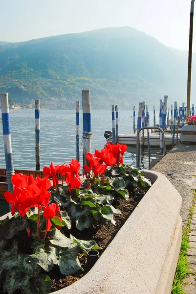 Blumenfleck Mit Roten Blumen Und Besonderen Anlegestellen Für Boote Auf — Stockfoto