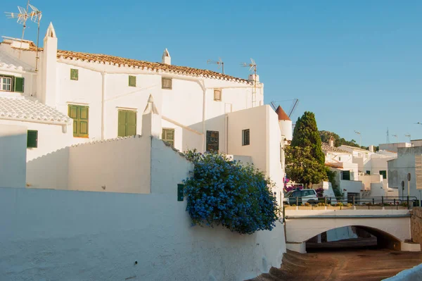 Uitzicht Witte Huizen Grote Blauwe Plumbago Van Mercadal Stad — Stockfoto