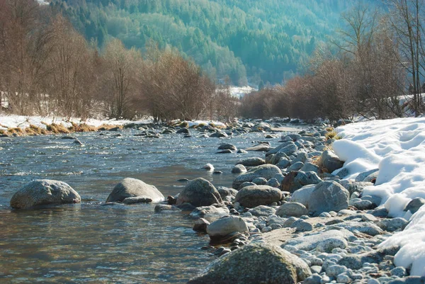 Pinzolo alan Madonna di Campiglio yakın küçük bir kasaba Rendena Vadisi'nde ortasında nehir