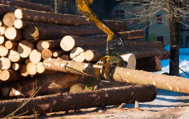Oduncu ile mekanik pense kesme ağaçlar ağır gövdeleri yığınları
