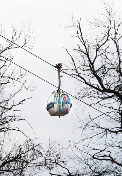 Téléphérique Blanc Bleu Dans Ciel Travers Les Branches Nues Pinzolo — Photo