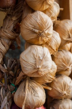 Dışarı asılı beyaz sarımsak başları close-up