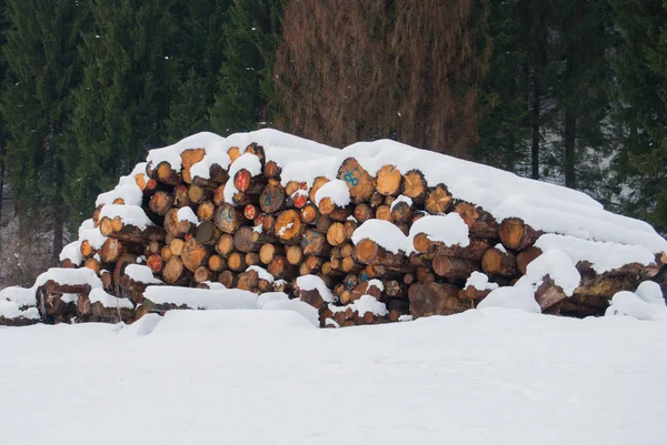 Birçok mayo Dağı nın ve bir kar yağışı altında yığılı