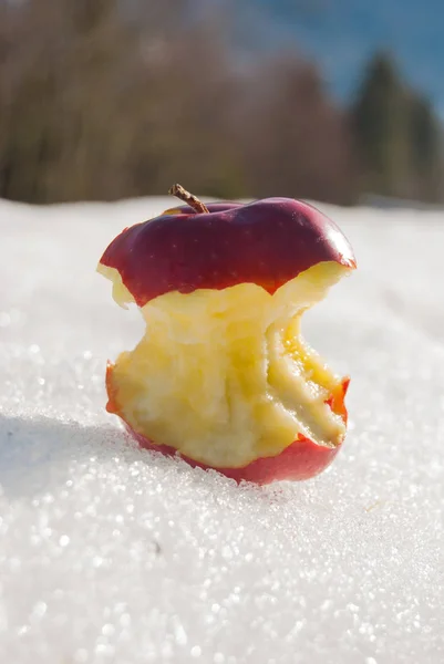 A ripe red apple with many bites placed on the snow and backlight