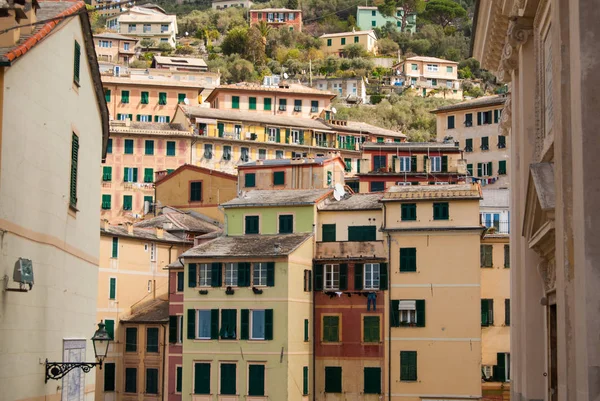 Typical houses on the hill of Camogli town