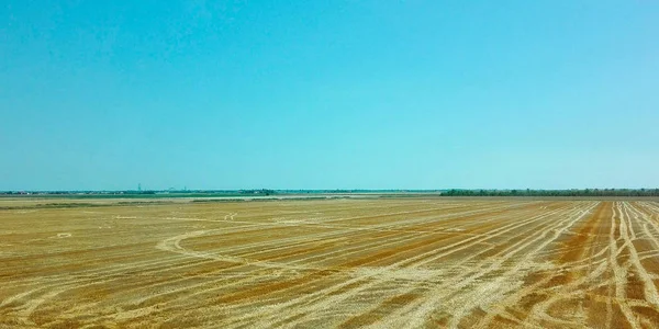 Big field after harvest with traces left by the passage of the t — Stock Photo, Image
