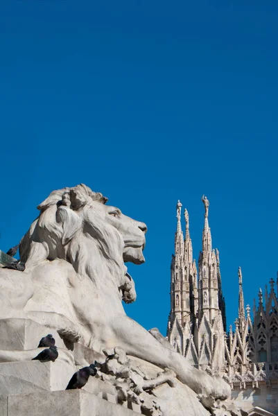 White marble lion statue with cathedral spiers of Milan and the — 스톡 사진
