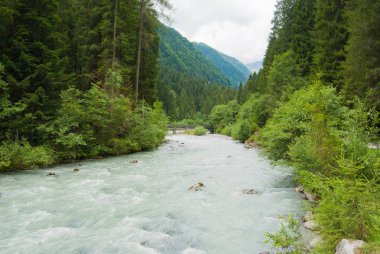 Dağlarda vadi boyunca akan tedirgin nehir 