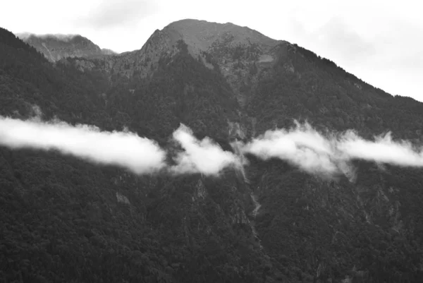 Nuvens baixas sobre uma floresta de coníferas — Fotografia de Stock