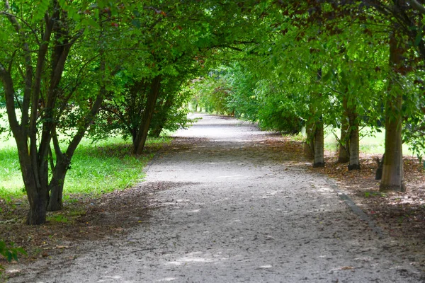 Camino de la suciedad en medio de la naturaleza — Foto de Stock