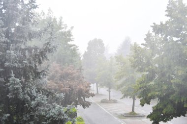 Çok şiddetli yağmurlu bir gün