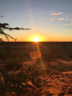 Ufukta çölde turuncu gün batımı