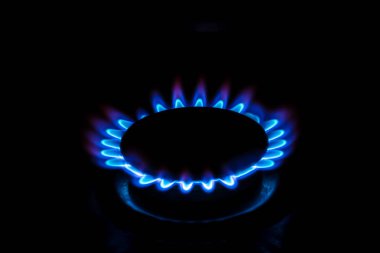 A gas burner with blue burning gas looks like flower clipart