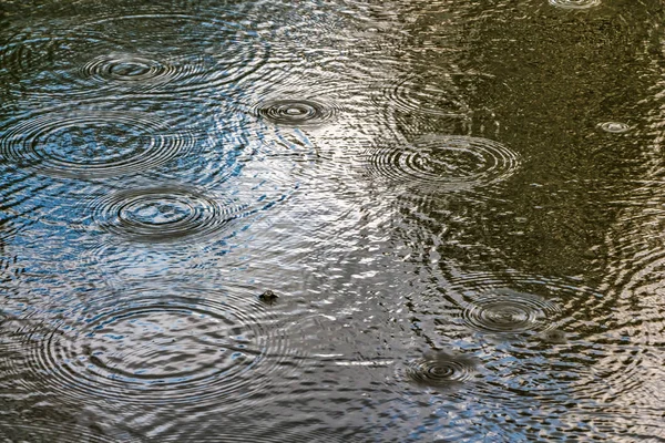 Kręgi Kropli Deszczu Rozkładają Się Powierzchni Stawu Odbiciem Drzew Nieba — Zdjęcie stockowe
