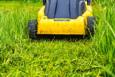 Bir elektrik lawnmower çim yeşil çim biçme