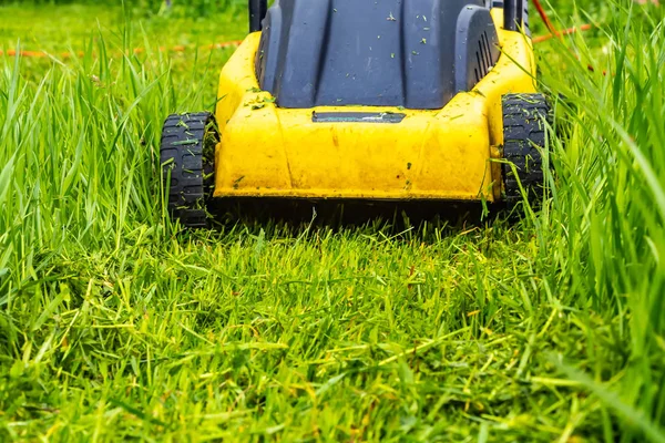 Maaien gazon groen gras met een elektrische grasmaaier — Stockfoto