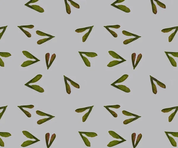 Textura vzor bezešvé zelených semen arh — Stock fotografie