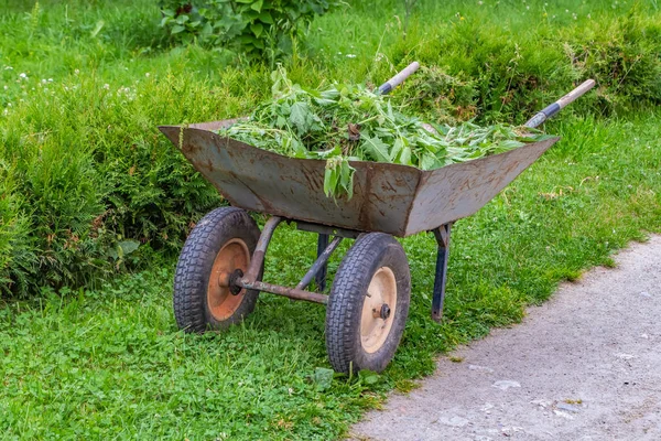 Un viejo carro de jardín con ortigas verdes y otras malas hierbas — Foto de Stock