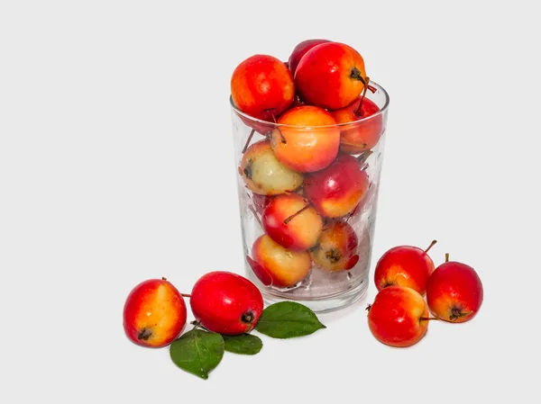 Vackra Röda Och Gula Våta Äpplen Genomskinligt Glasvas Med Vattendroppar — Stockfoto