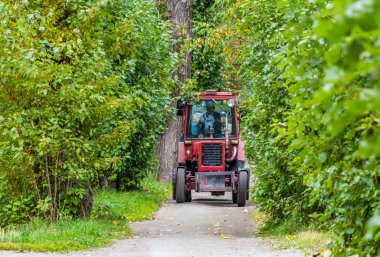 Çalışan insanlar küçük kırmızı traktör boyunca yeşil ve sarı ağaçları arasında bir iz sürücü