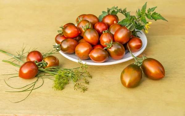 Los Tomates Frescos Rojos Verdes Brillantes Hojas Cereza Tomate Verde — Foto de Stock