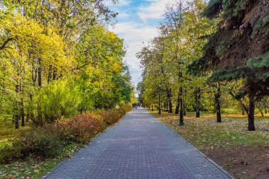 Sonbaharda ağaçlar ve çalılar renkli yaprakları kırmızı yeşil ve sarı parkta arasında gri ve Kırmızı kaldırım döşeme bir grup insan ve sarı ile döşeli bir yol bırakır.