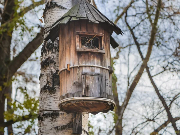 Una Birdhouse Uccelli Vecchie Tavole Marroni Appesa Una Betulla Bianca — Foto Stock