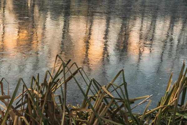 Uno Stagno Con Riflessi Arancio Tramonto Alberi Neri Sul Ghiaccio — Foto Stock