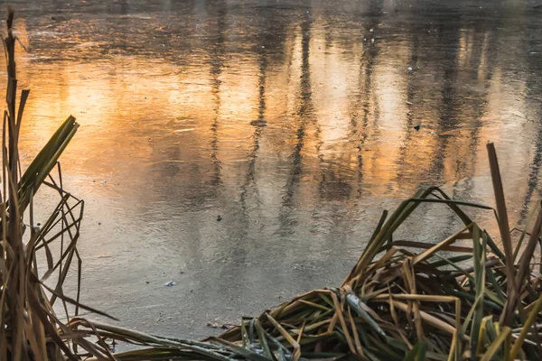 Uno Stagno Con Riflessi Arancio Tramonto Alberi Neri Sul Ghiaccio — Foto Stock