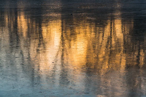 Beautiful Texture Pond Reflections Orange Sunset Black Trees Transparent Ice — Stock Photo, Image