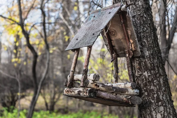 秋の公園の灰色の木にハングアップする茶色合板と白樺の小枝の古民家を鳥の餌箱 — ストック写真
