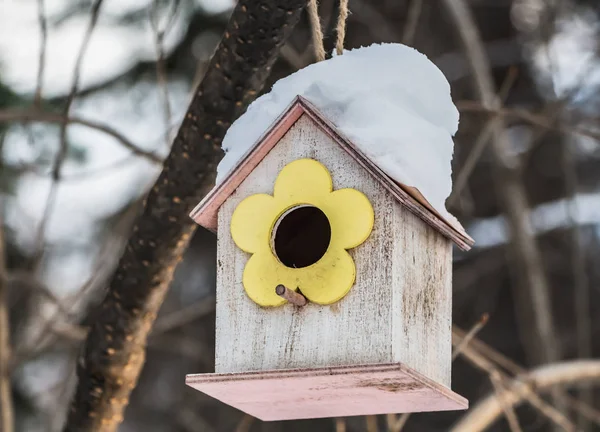 지붕에 노란색 흰색과 보드에서 Birdhouse 겨울에 공원에서 나무에 — 스톡 사진