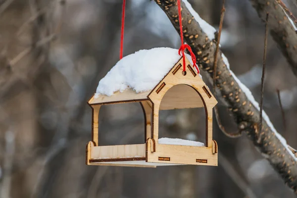 Bir yeni sarı kuş ve sincap besleyici evden kontrplak çatıda beyaz kar ile sonbaharda kırmızı bir ip üzerinde bir parkta kahverengi bir ağaç üzerinde asılı.