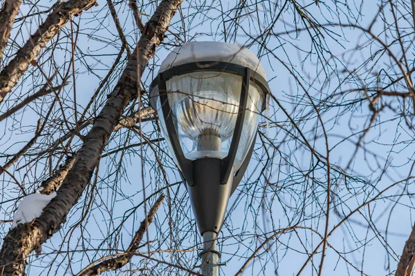 A white and black beautiful street lighting lantern against the blue sky background with white snow and icicle and with trees without foliage is in a park in winter.