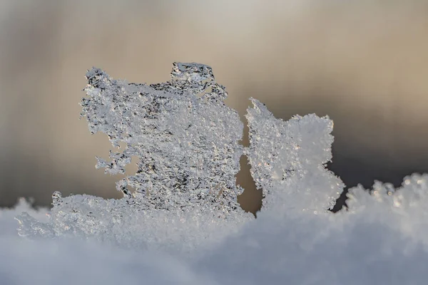 Kışın Bir Parkta Bulanık Bir Arka Plan Üzerinde Beyaz Kar — Stok fotoğraf